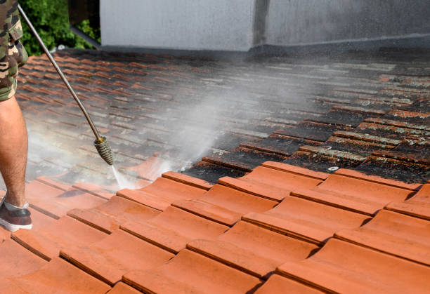 Best Sidewalk Pressure Washing  in Carlyss, LA