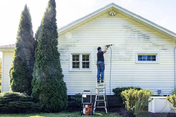 Best Residential Pressure Washing Services  in Carlyss, LA