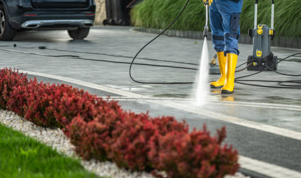 Best Roof Pressure Washing  in Carlyss, LA